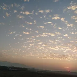 Tea Gardens of Dooars - Jalpaiguri