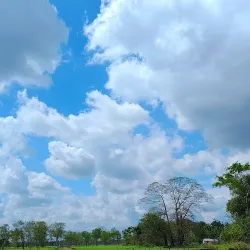 Tea Gardens of Dooars - Jalpaiguri