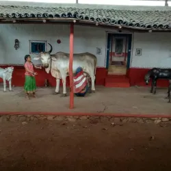 Bagalkot District Museum - Jamakhandi