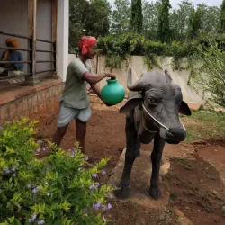 Bagalkot District Museum - Jamakhandi