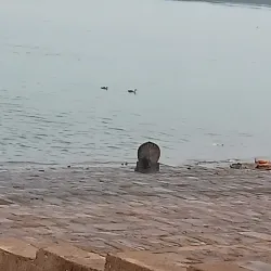 Nearby Ghataprabha River - Jamakhandi