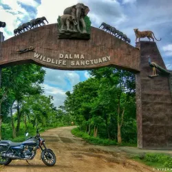 Dalma Wildlife Sanctuary - Jamshedpur