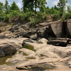 Dalma Wildlife Sanctuary - Jamshedpur