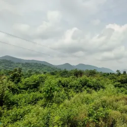 Dalma Wildlife Sanctuary - Jamshedpur