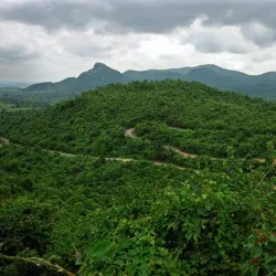 Dalma Wildlife Sanctuary - Jamshedpur