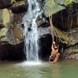 Dalma Wildlife Sanctuary - Jamshedpur