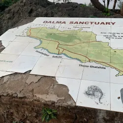 Dalma Wildlife Sanctuary - Jamshedpur