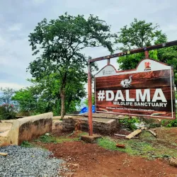 Dalma Wildlife Sanctuary - Jamshedpur