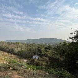 Dimna Lake - Jamshedpur