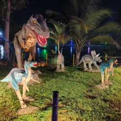 Jubilee Park Aquarium - Jamshedpur