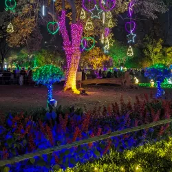 Jubilee Park - Jamshedpur