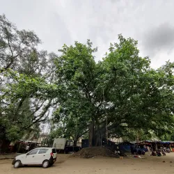 Maa Kali Temple - Jamshedpur
