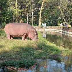 Tata Steel Zoological Park - Jamshedpur