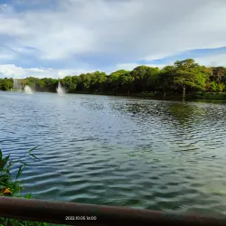 Tata Steel Zoological Park - Jamshedpur