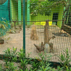 Tata Steel Zoological Park - Jamshedpur