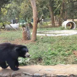 Tata Steel Zoological Park - Jamshedpur