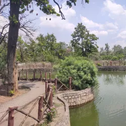 Banjari Temple - Jharsuguda