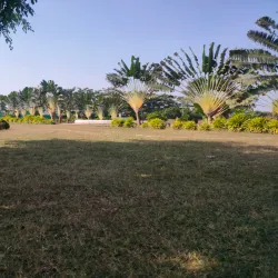 Jharsuguda Town Park - Jharsuguda