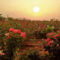 Jharsuguda Town Park - Jharsuguda