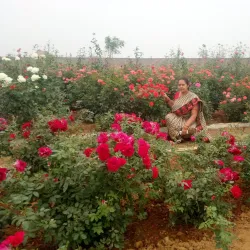 Jharsuguda Town Park - Jharsuguda