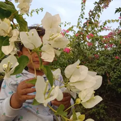 Jharsuguda Town Park - Jharsuguda