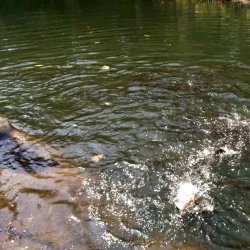 Koilighughar Waterfall - Jharsuguda