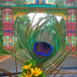 Koilighughar Waterfall - Jharsuguda