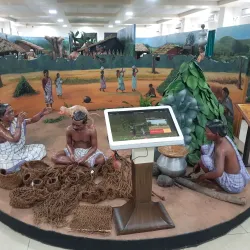 Tribal Museum, Jharsuguda - Jharsuguda
