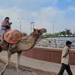 Kaylana Lake - Jodhpur