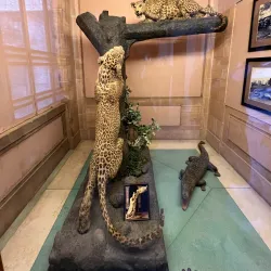 Umaid Bhawan Palace - Jodhpur