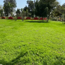 Kaithal City Park - Kaithal