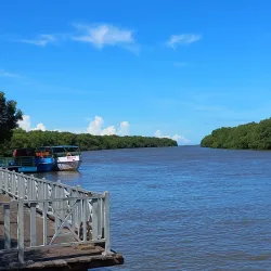 Coringa Wildlife Sanctuary - Kakinada