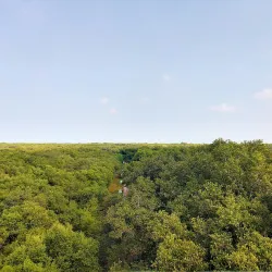 Coringa Wildlife Sanctuary - Kakinada