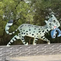 Coringa Wildlife Sanctuary - Kakinada