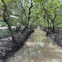 Coringa Wildlife Sanctuary - Kakinada