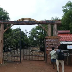 Gokivada Forest - Kakinada