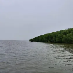 Gokivada Forest - Kakinada