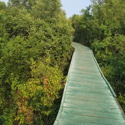Gokivada Forest - Kakinada