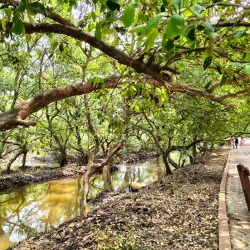 Gokivada Forest - Kakinada
