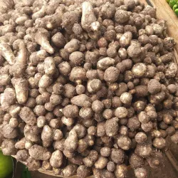 Kakinada Market - Kakinada