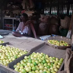 Kakinada Market - Kakinada