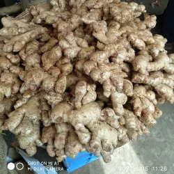 Kakinada Market - Kakinada