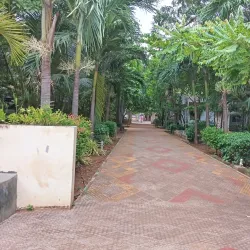 Sankaraiah Park - Kakinada