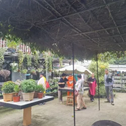 Cactus Nursery - Kalimpong