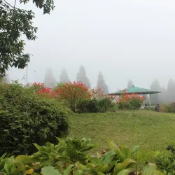 Deolo Hill - Kalimpong