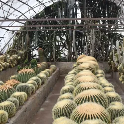 Pine View Nursery - Kalimpong