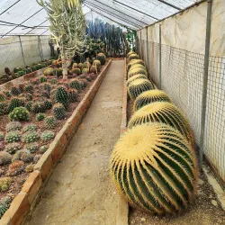 Pine View Nursery - Kalimpong