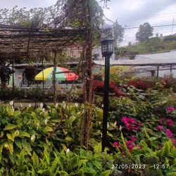 Pine View Nursery - Kalimpong