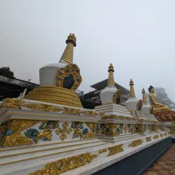 Tharpa Choling Monastery - Kalimpong