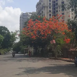 Kalyan Jain Temple - Kalyan